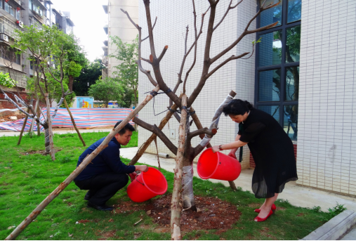 ������������ѧ������У԰�ֵ��������ɫ�Ҹ�